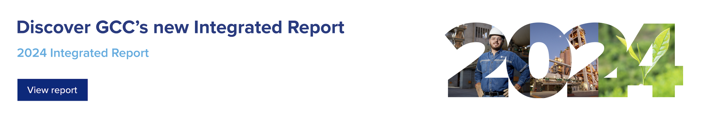 Reporte Integrado 2024